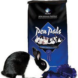 pen pals rabbit feed